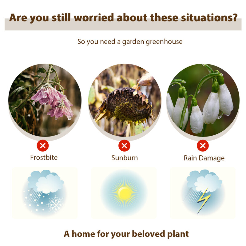 Kompakt væksthus med PVC-skjold jernram metalhylder 143x73x195 cm