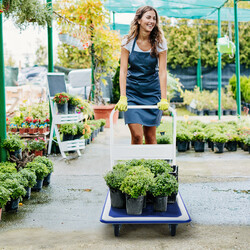 Transportvogn hopfoldelig pulverlakeret metal 60x90 cm 300 kg blå/hvid