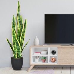 Kunstig ormplante gul 90 cm med stabil krukke til indendørs