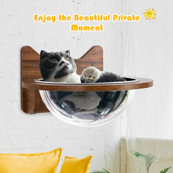 Vægmonteret katteleje i træ med transparent kuppel brun 40x40x23 cm