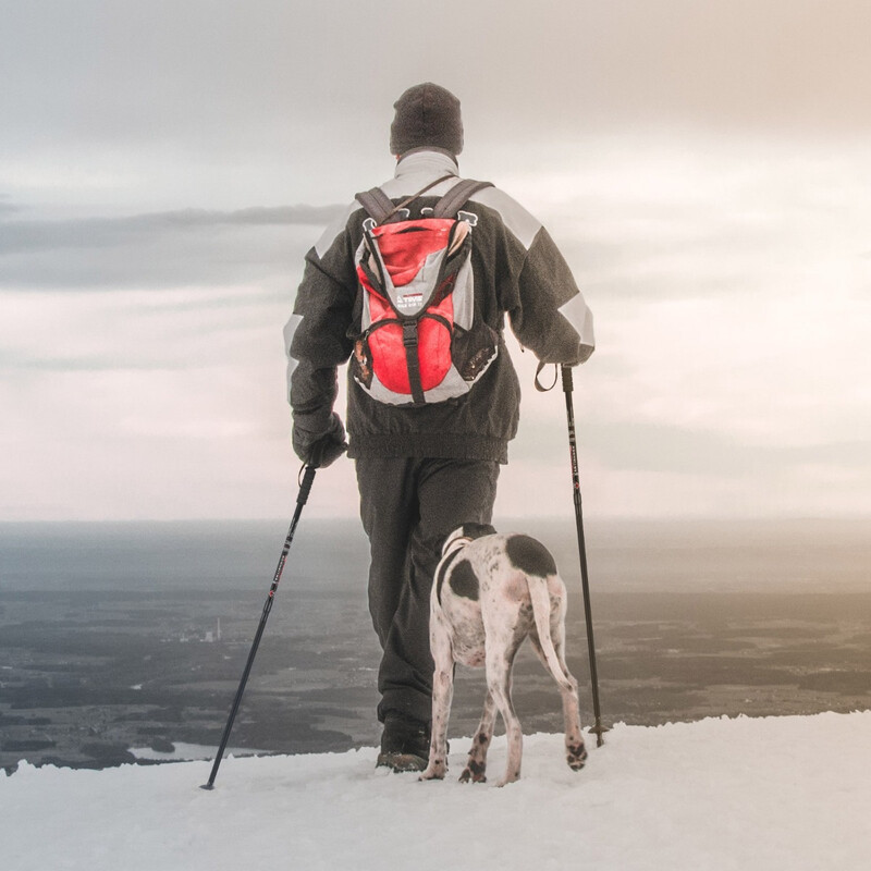 Vandrestokke 2 styk sort aluminium justerbar 66-137 cm