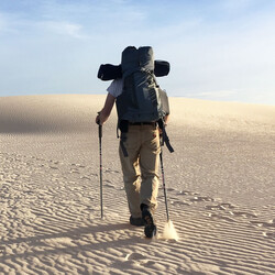 Vandrestokke 2 styk sort aluminium justerbar 66-137 cm