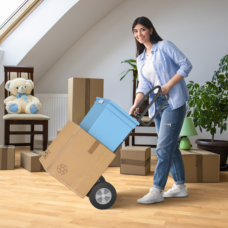 Transportvogn sort metal 300 kg kapacitet ergonomisk p‑håndtag sammenklappelig