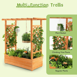 Dyrkningskasse af tannetræ i orange 110x44x113 cm med spalje og hængende tag