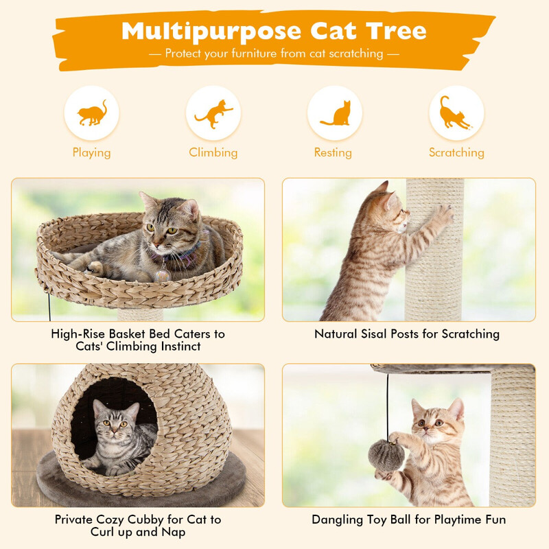 Katteklatretræ mørkebrun spånplade sisal med hul flaneloverflade 48x48x70