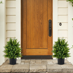 2 kunstige cedertræer 55 cm indendørs med potte PE PVC