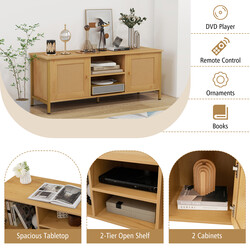 TV-bord i PE-rotting og træ 120x40 cm med to døre og hylder