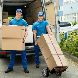 3-i-1 transportvogn med fire gummihjul fastgørelsesline 450 kg kapacitet