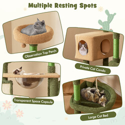 Katte-træ kaktusformet grøn brun 60x49x150 cm med platforme og børste