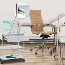 Alsidig hjælpevogn med hjul tre hylder til skønhedssalon og hjem