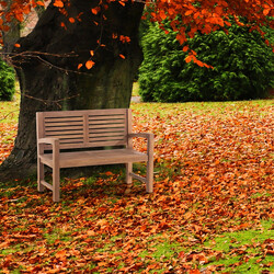 Massiv teak havebænk med armlæn tidløst design helårs udendørs